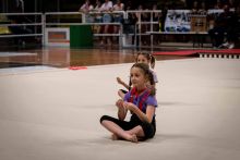 Saggio2024_267-ex-0524-274