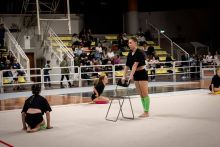 Saggio2024_722-ex-0524-742
